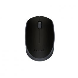 Muis Logitech M171